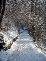 Strada che porta nella valle da Menarei