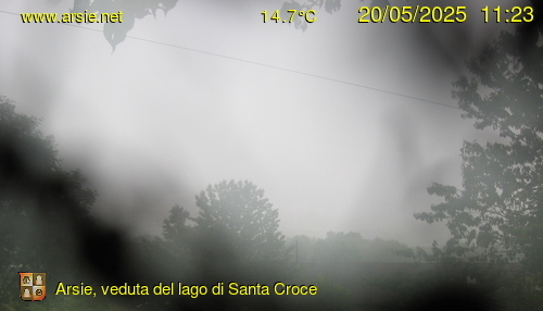 immagine della webcam nei dintorni di Pian del Cansiglio: webcam Ponte nelle Alpi