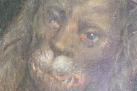 Il leone