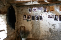 La mostra