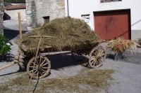 Il carro di fieno