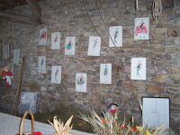 Modelli di Anna