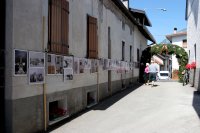 Immagini della mostra