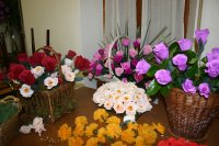Fiori di carta