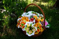 Fiori di carta