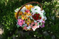 Fiori di carta
