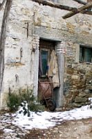 Il rosmarino e la neve